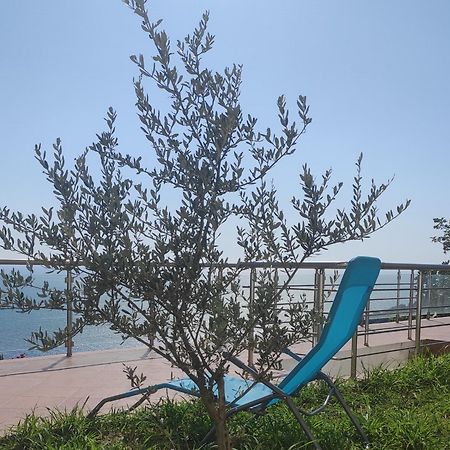 Apartment Oliva อุลซิน ภายนอก รูปภาพ